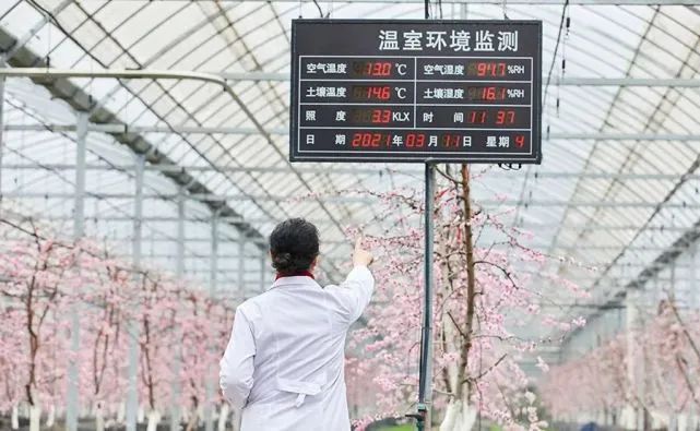 未來農業10大科技趨勢和創新、亮點