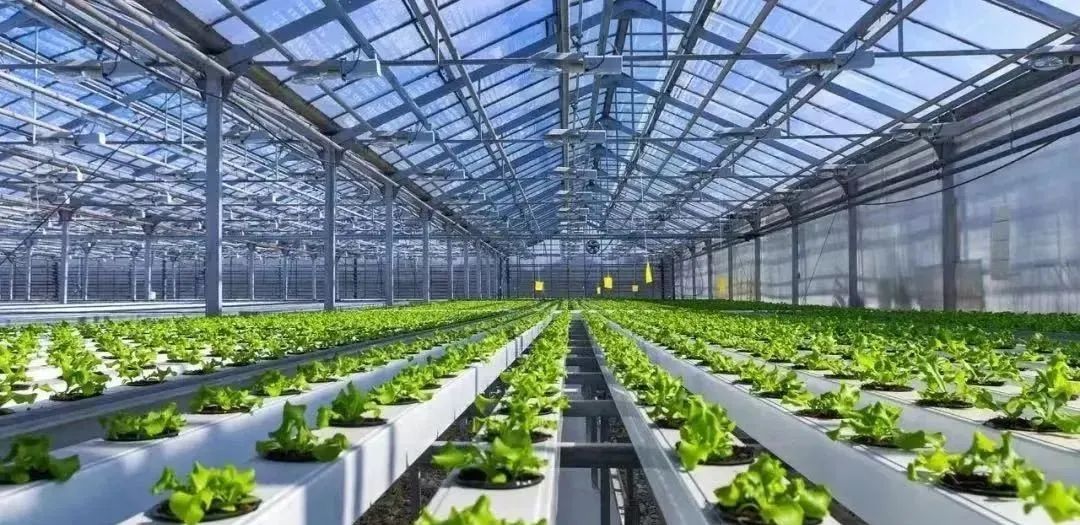 政策紅利！我國智慧農業發展全解