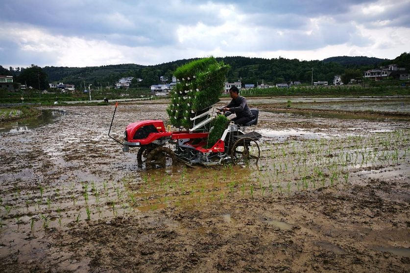 連續三年，這類農機研發寫入中央一號文件