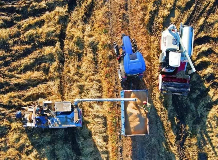 連續三年，這類農機研發寫入中央一號文件