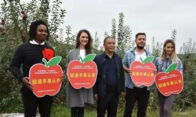 【農業模式】農產品銷售創新點在哪里？十種新模式助力未來農業