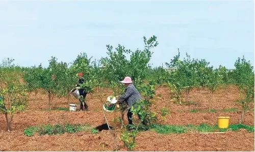 現代農業產業園，如何撬動3800多億元社會投資？