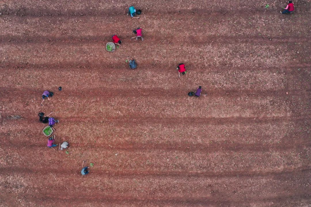 現代農業產業園，如何撬動3800多億元社會投資？