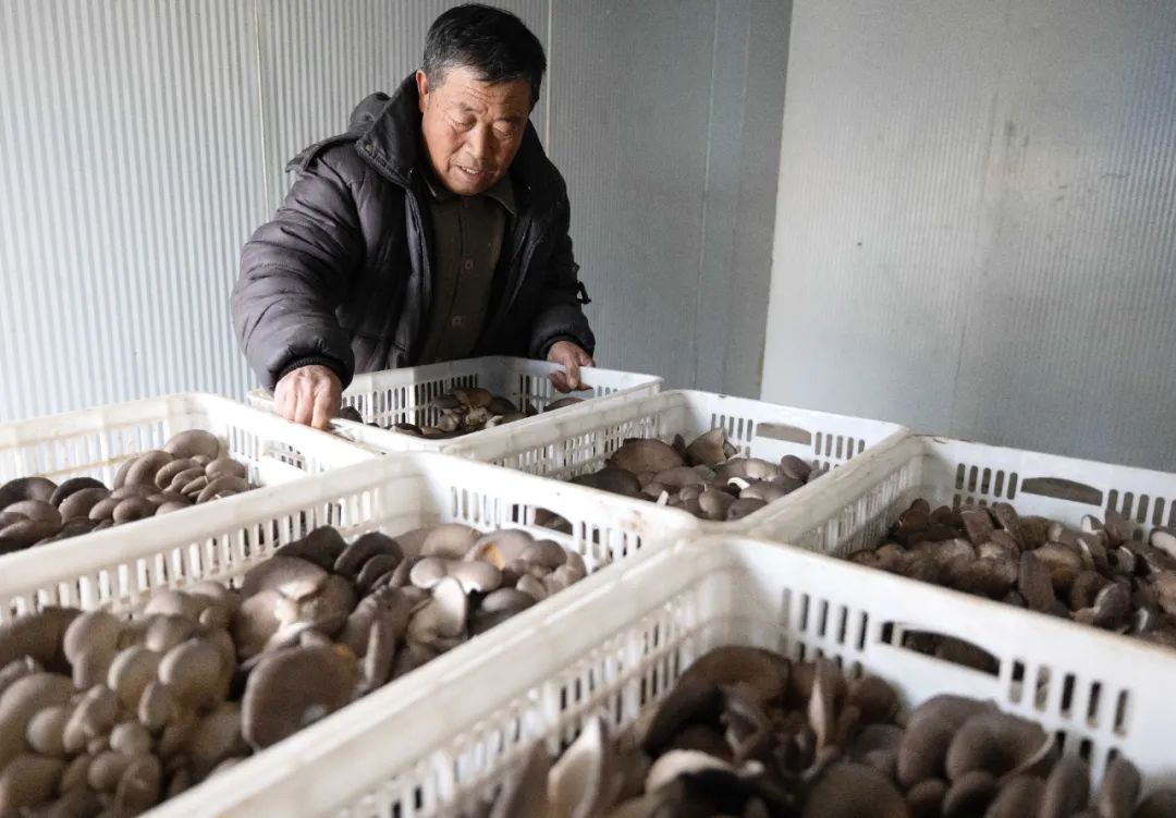 現代農業產業園，如何撬動3800多億元社會投資？