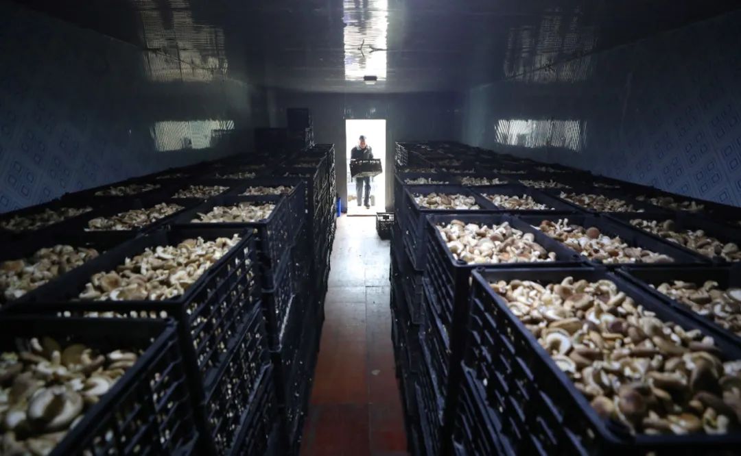 現代農業產業園，如何撬動3800多億元社會投資？