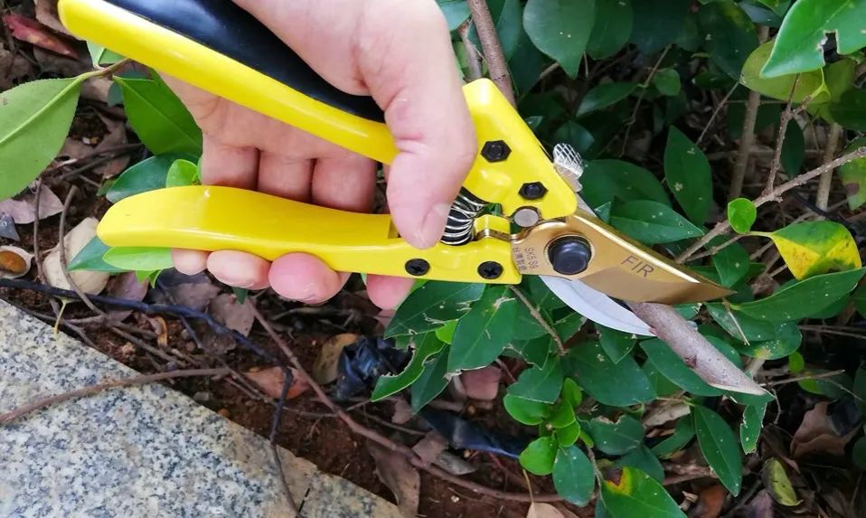 2023年中央一號文件解讀：加緊研發園藝機械應該如何理解？