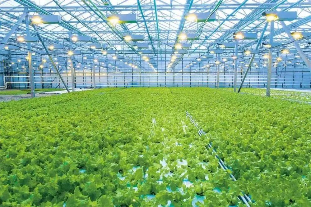 2023年中國農食系統十大趨勢，引發農業產業鏈變革