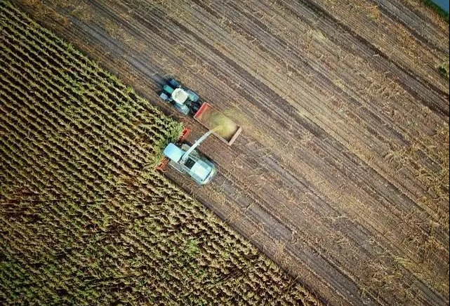 農業機器人還將提升哪些關鍵技術？