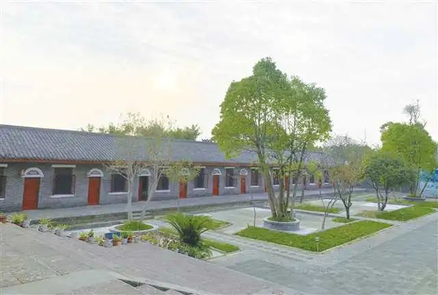 中國工程院院士、中國農業大學教授張福鎖：科技小院為什么行？