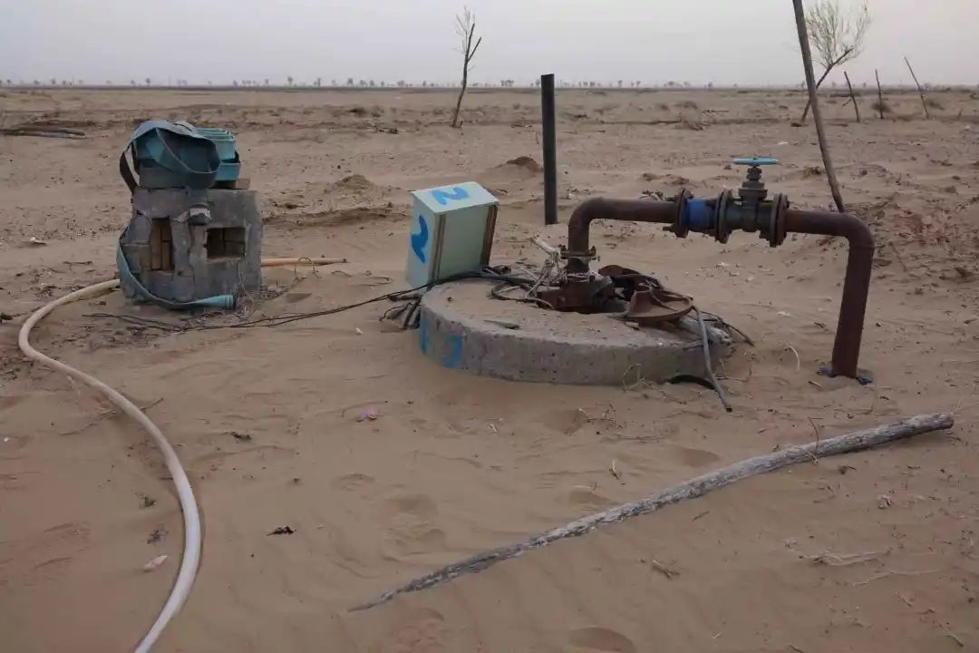 陜西榆林：6000余畝高標準農田，緣何撂荒7年？