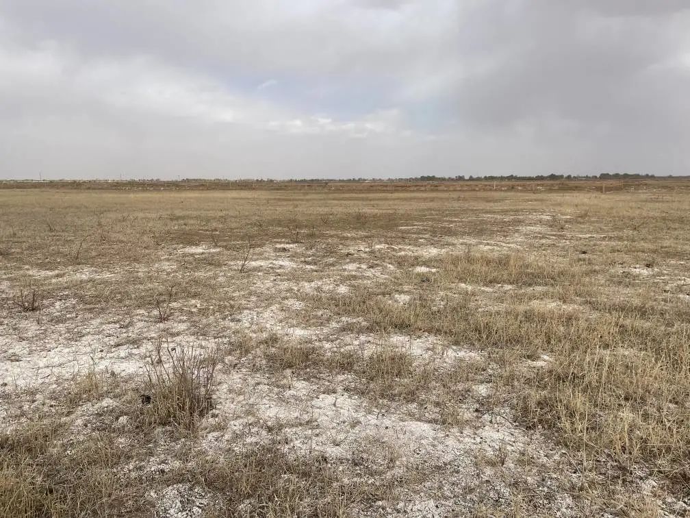 陜西榆林：6000余畝高標準農田，緣何撂荒7年？