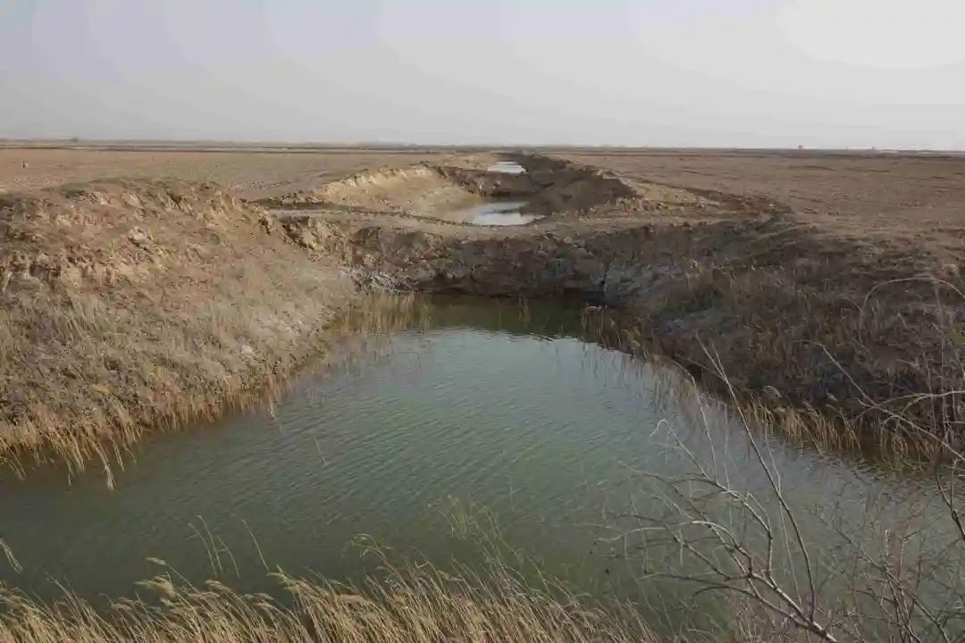 陜西榆林：6000余畝高標準農田，緣何撂荒7年？