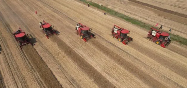 高效減損！智慧農機成為夏收主角