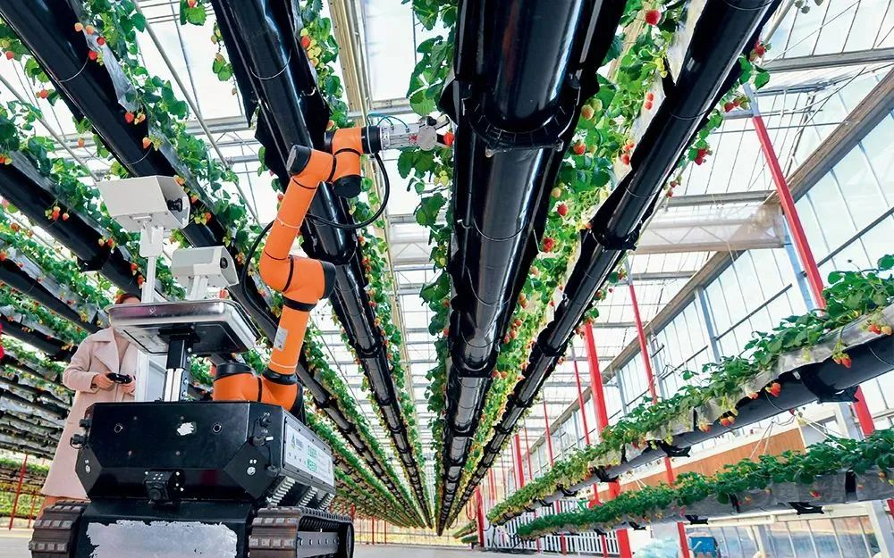 農業現代化，數字農業先行