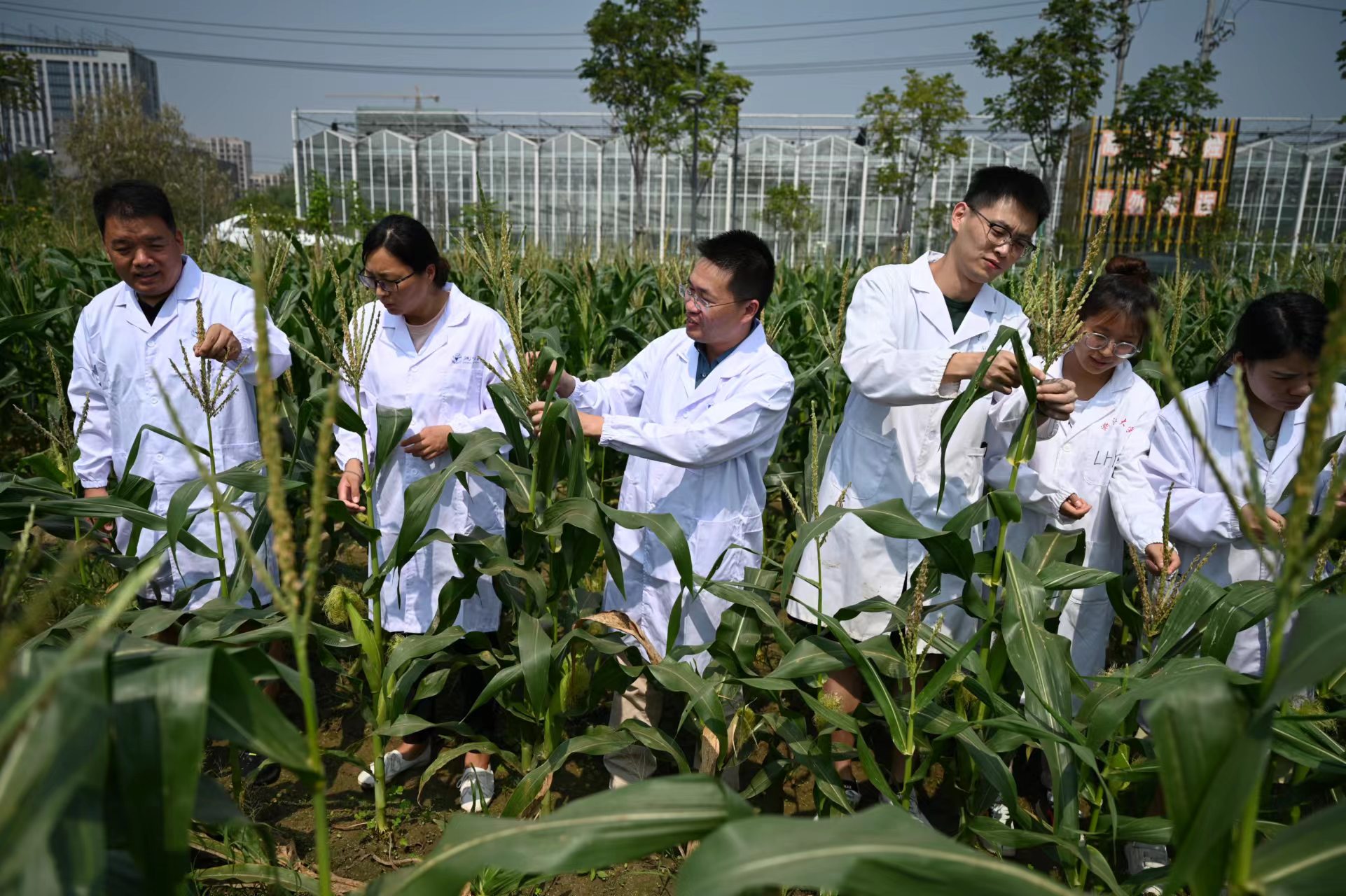 農業科技能否迎來投資風口？