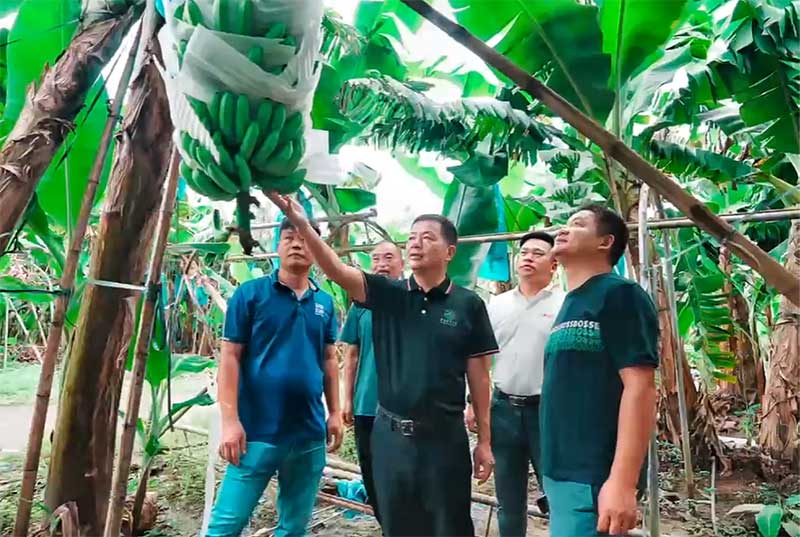 菌肥時代來了！治理土壤“疑難雜癥”引領綠色農業新風尚