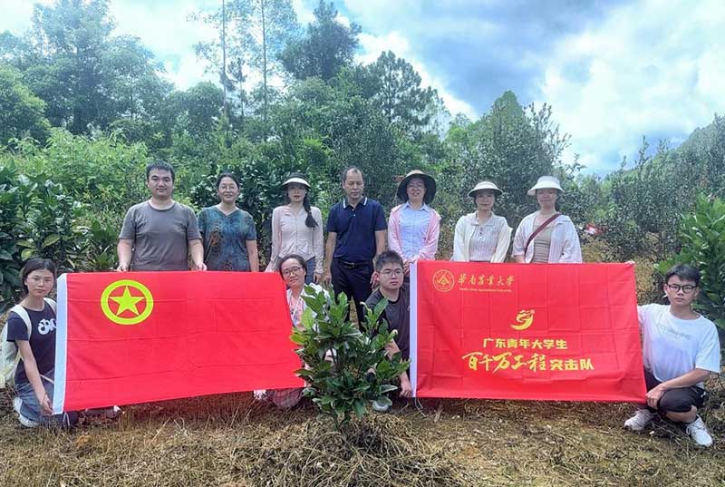 菌肥時代來了！治理土壤“疑難雜癥”引領綠色農業新風尚