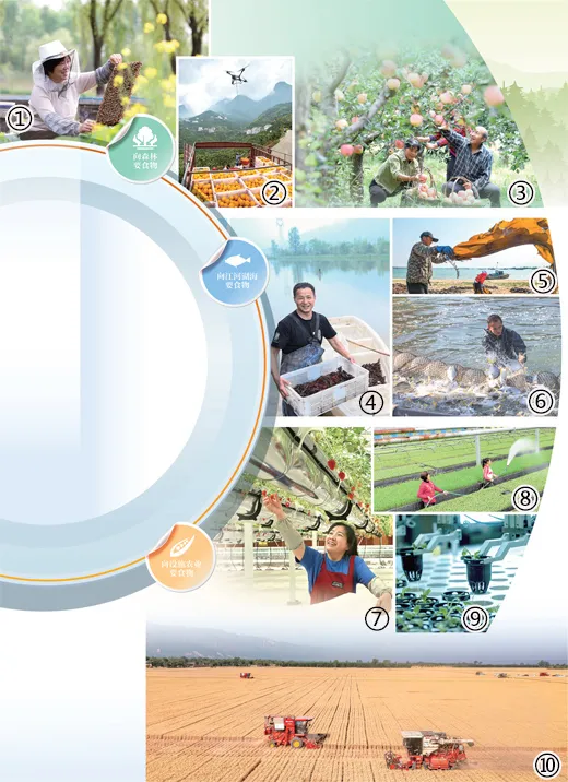 向新 向綠！我國農業綠色發展水平穩步提升